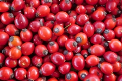 Malé plody určené na sušenie