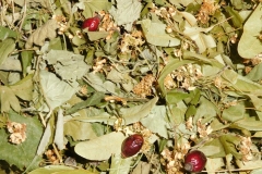 Bylinkový čaj na nepravidelnú činnosť srdca