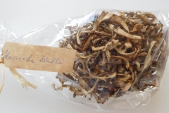 Hríby - Kučierka hladká